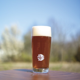 Pint Glass