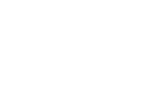 Octopi Logo