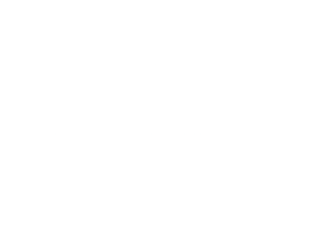 bearded-iris Bearded Iris Logo