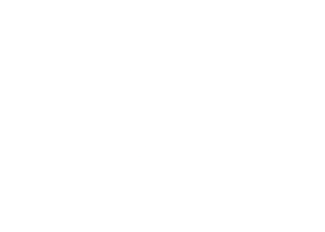 New Belgium