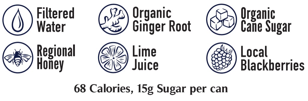 Made with filtered water, organic ginger root, organic cane sugar, regional honey, lime juice, and local blackberries. 68 calories, 15g of sugar per can