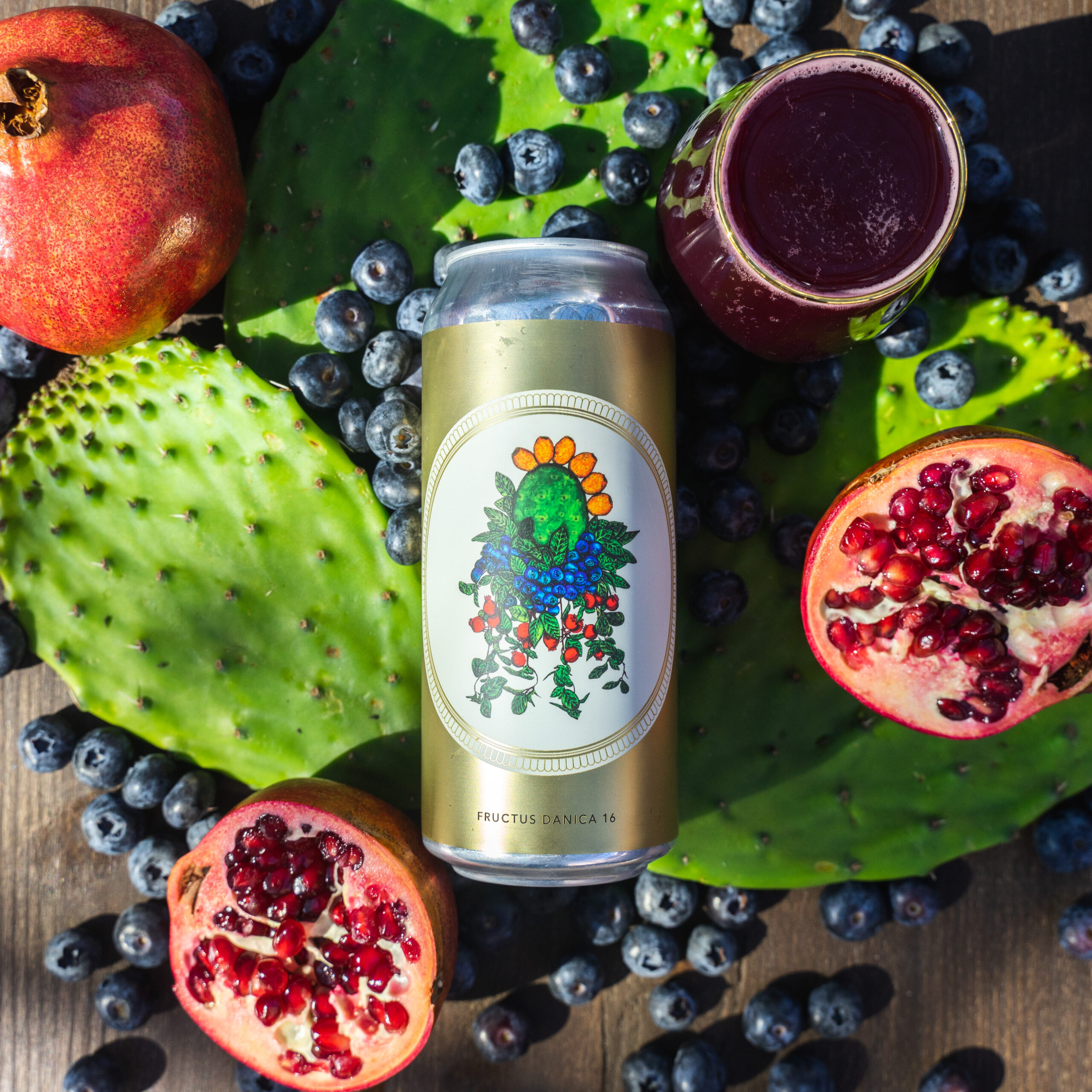 4PK | FRUCTUS DANICA 16