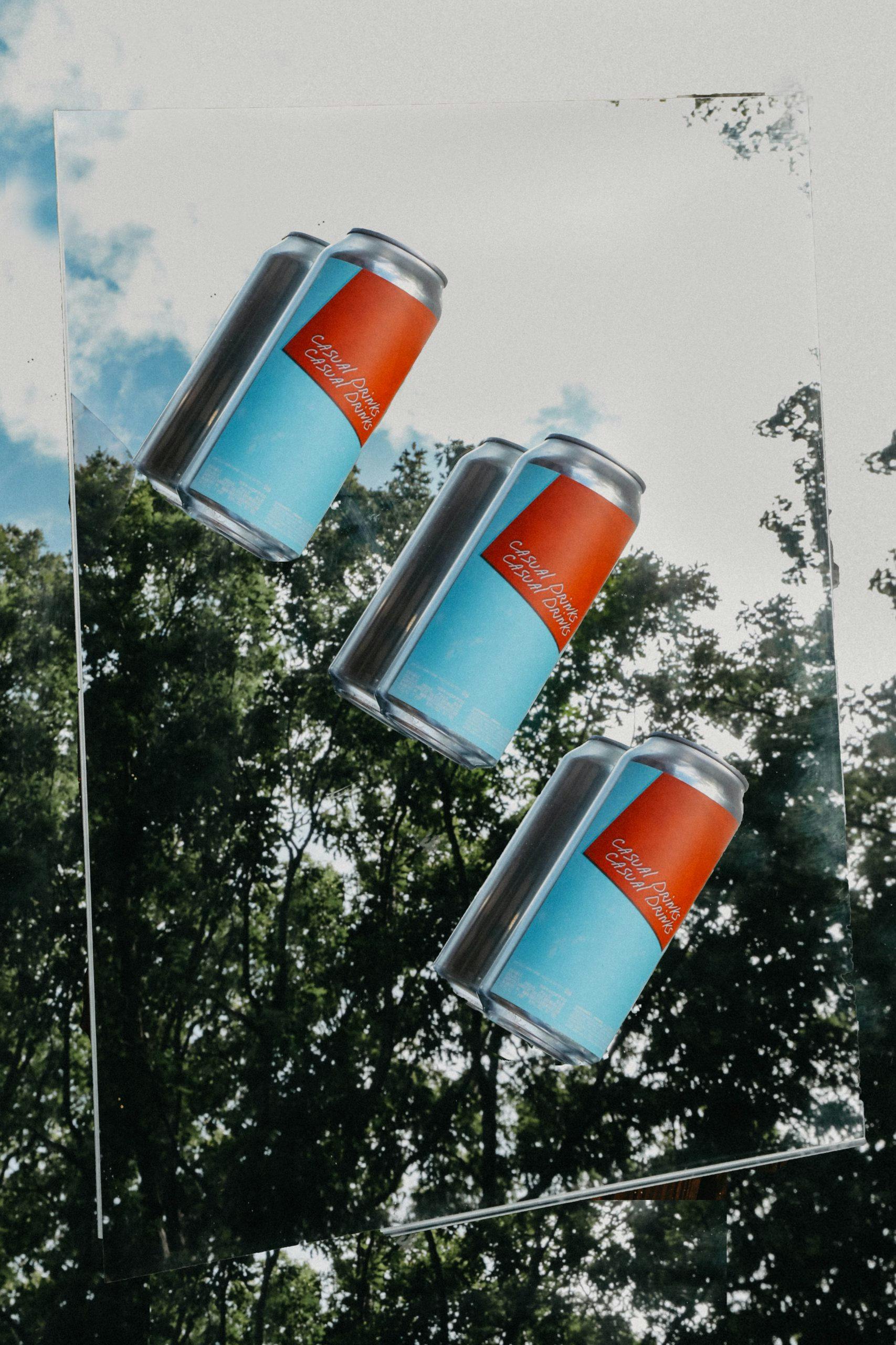 casual-casual-drinks-drinks-4-pack-16oz-cans-the-veil-brewing-online-shop