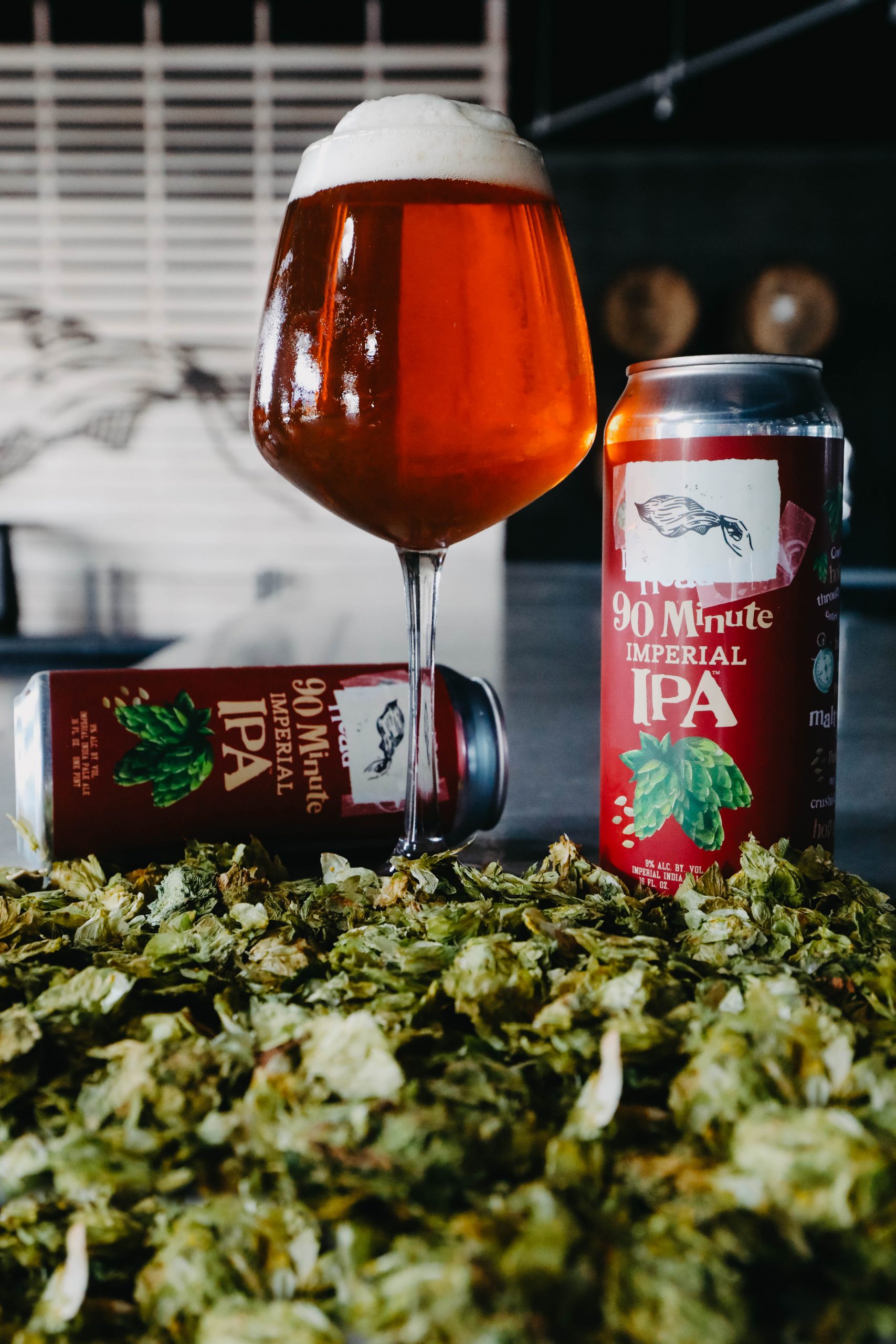 Dogfish Head 90 Minute Imperial IPA 4Pack 16oz cans The Veil Brewing