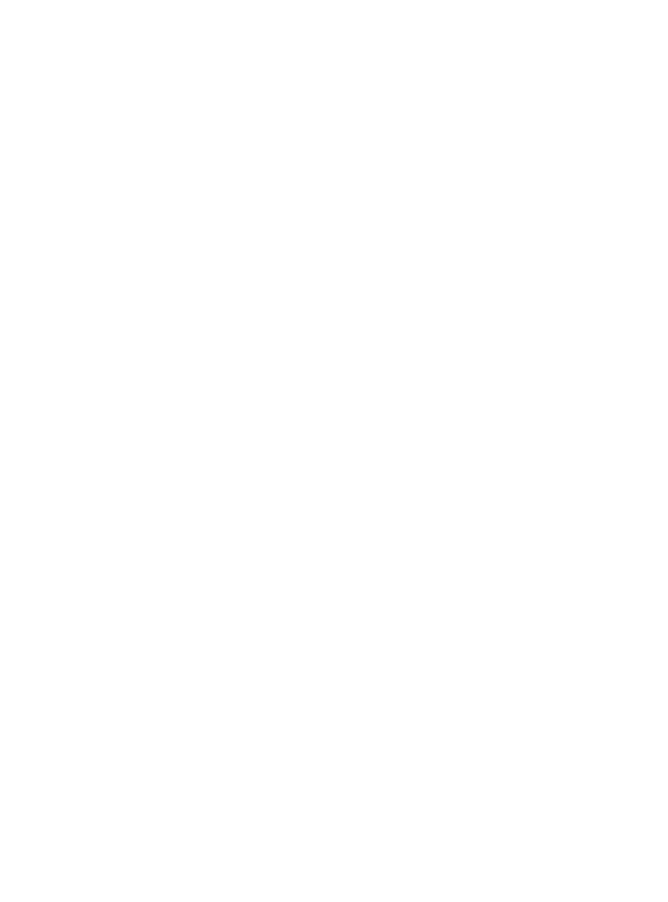 Top Hops Beer Shop