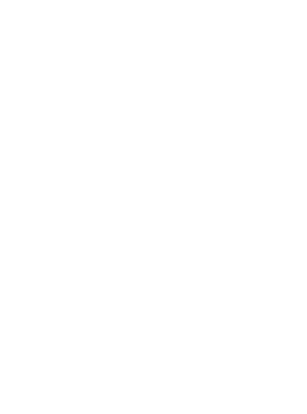 Top Hops Beer Shop