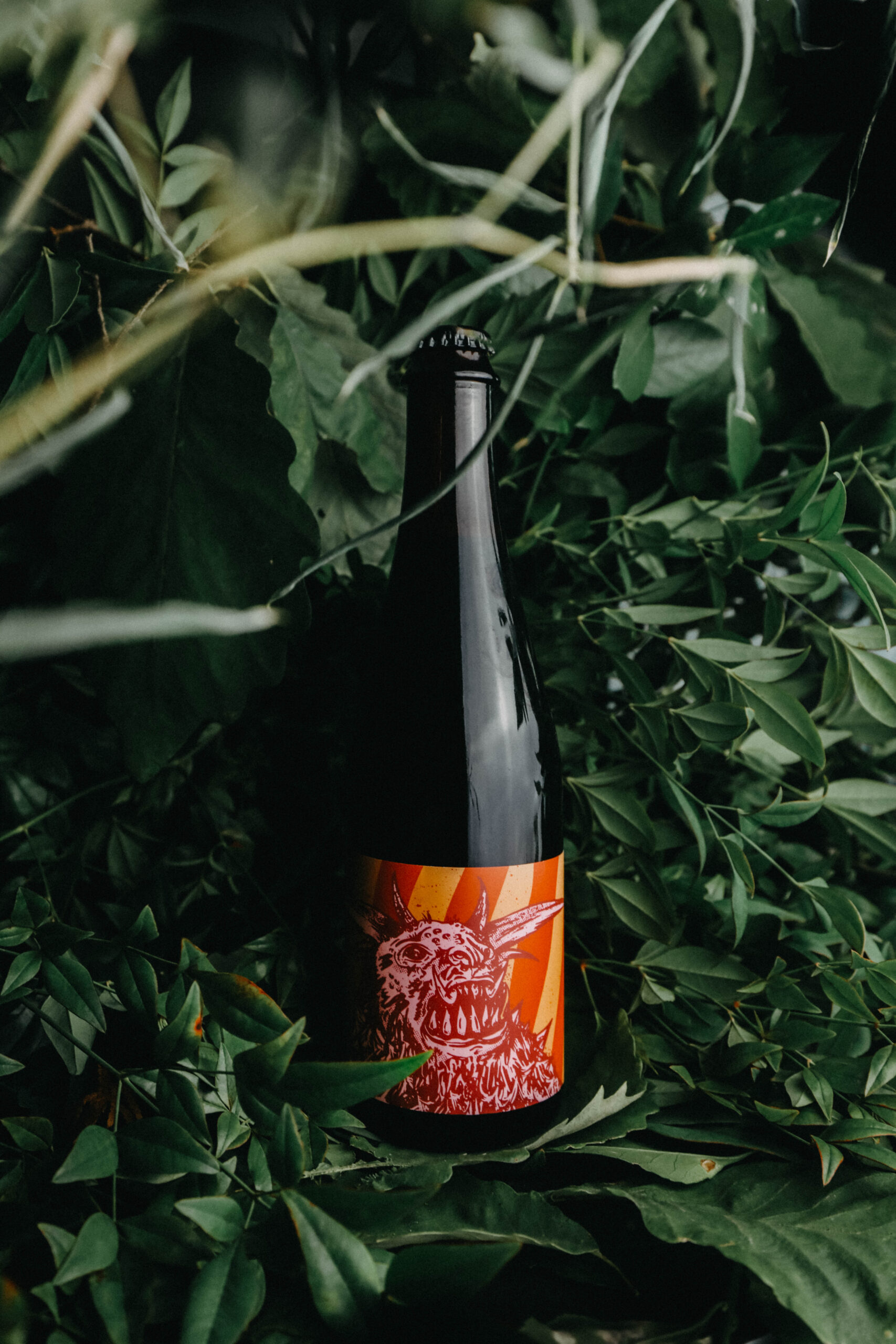 Cognac Whangdoodle - 500ml bottle | The Veil Brewing Online Shop
