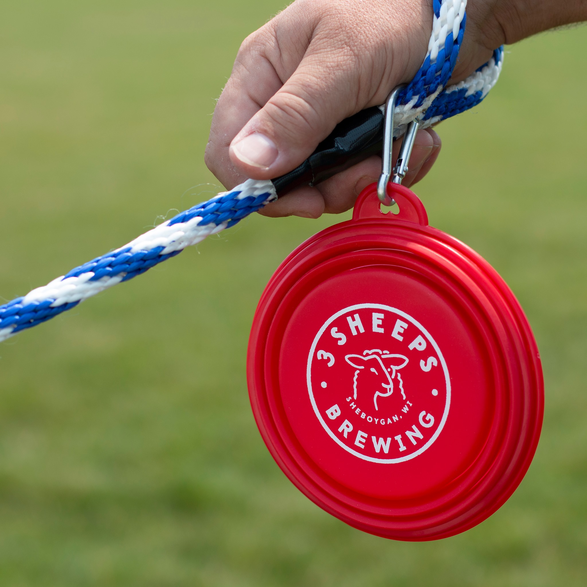 Dog Dish - Red, collapsible