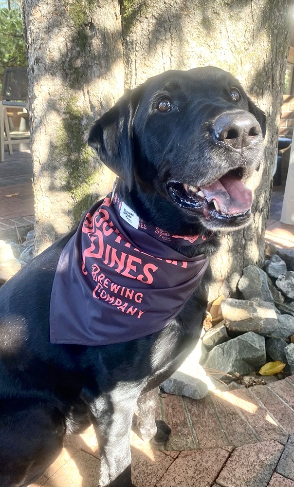 Dog Bandana