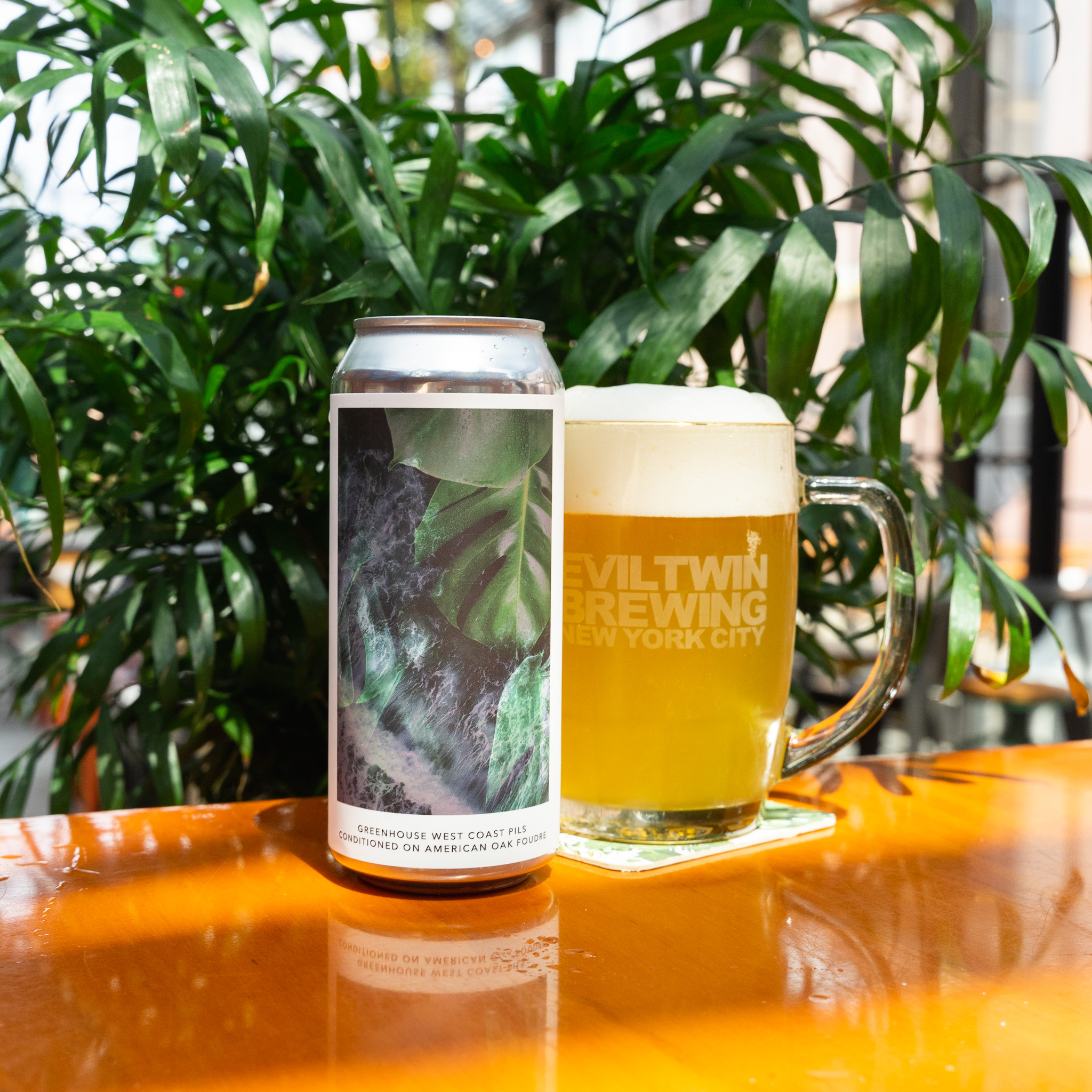 4PK | GREENHOUSE WEST COAST PILS CONDITIONED ON AMERICAN OAK FOUDRE