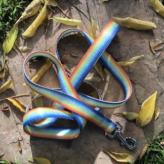 radiant gradient pet leash