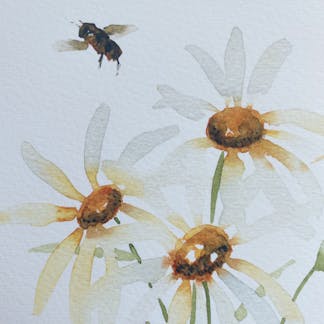 daisies and bees art