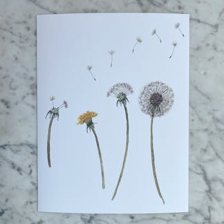 dandelions art print