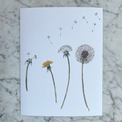 dandelions art print