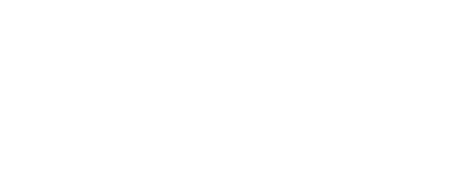 simple logo with transparent background and white letters "E N"