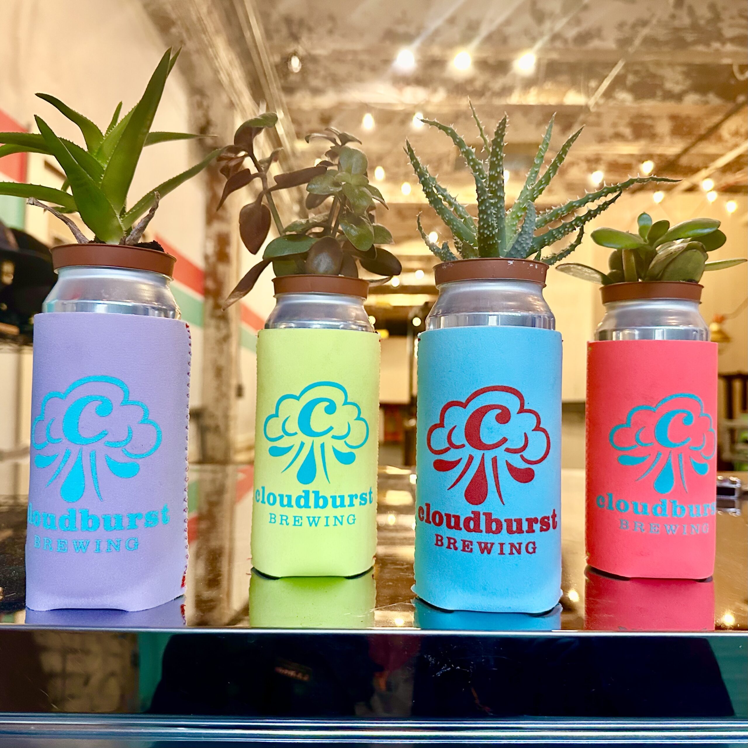 Neoprene Can Coolers (definitely not a k o o z i e! That would be an unauthorized use of trademark according to the recent letter from their corporate counsel)