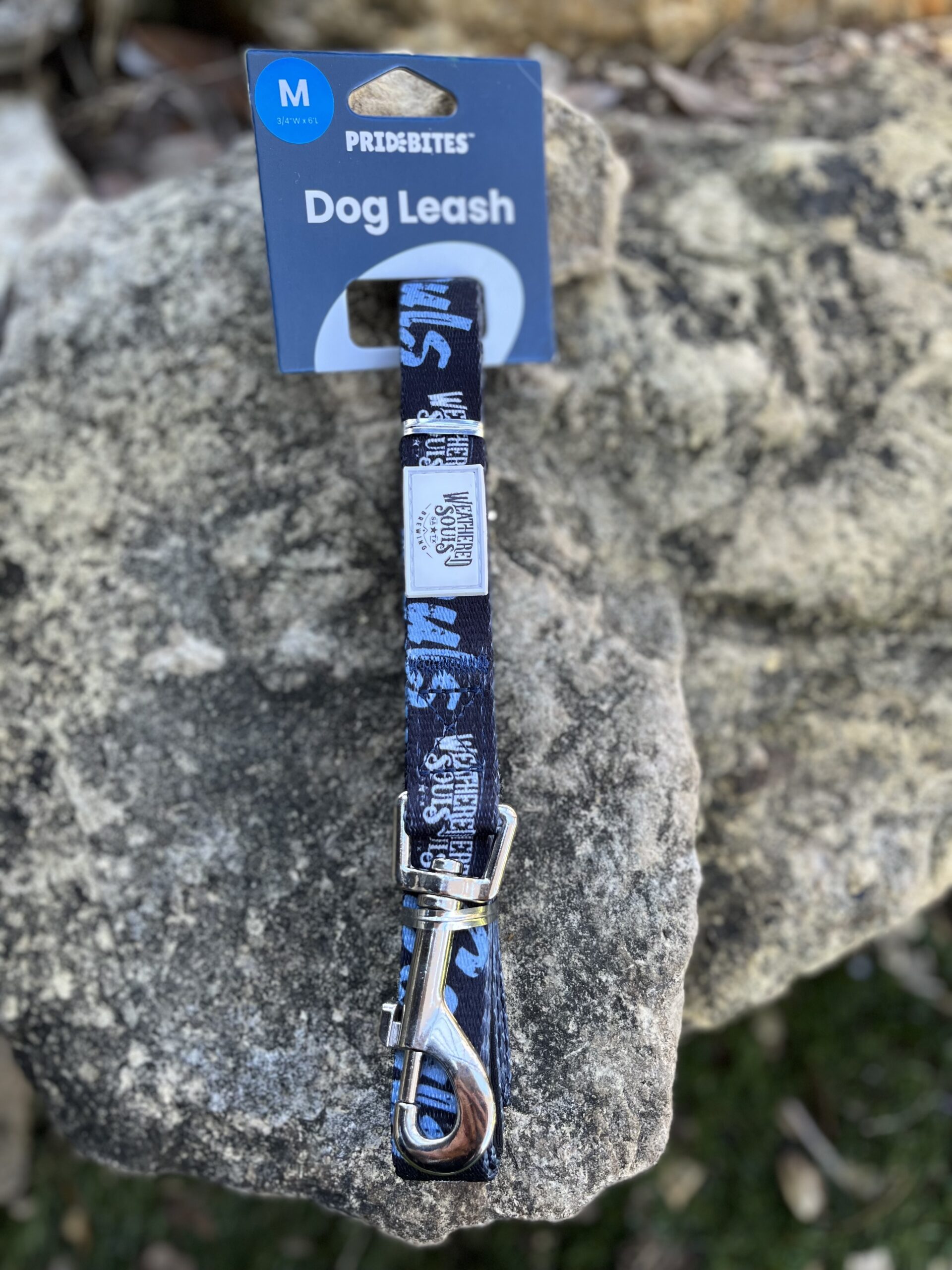 Dog Leash