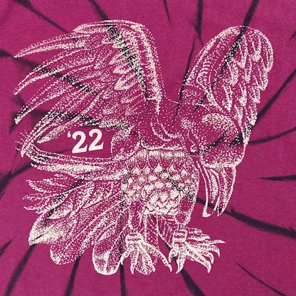 close in shot of gold bird design and number '22 on maroon shirt with black swirl lines