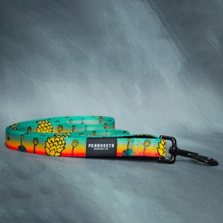 Dog Leash