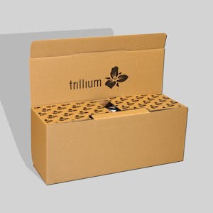 custom printed craft beer shipping boxes