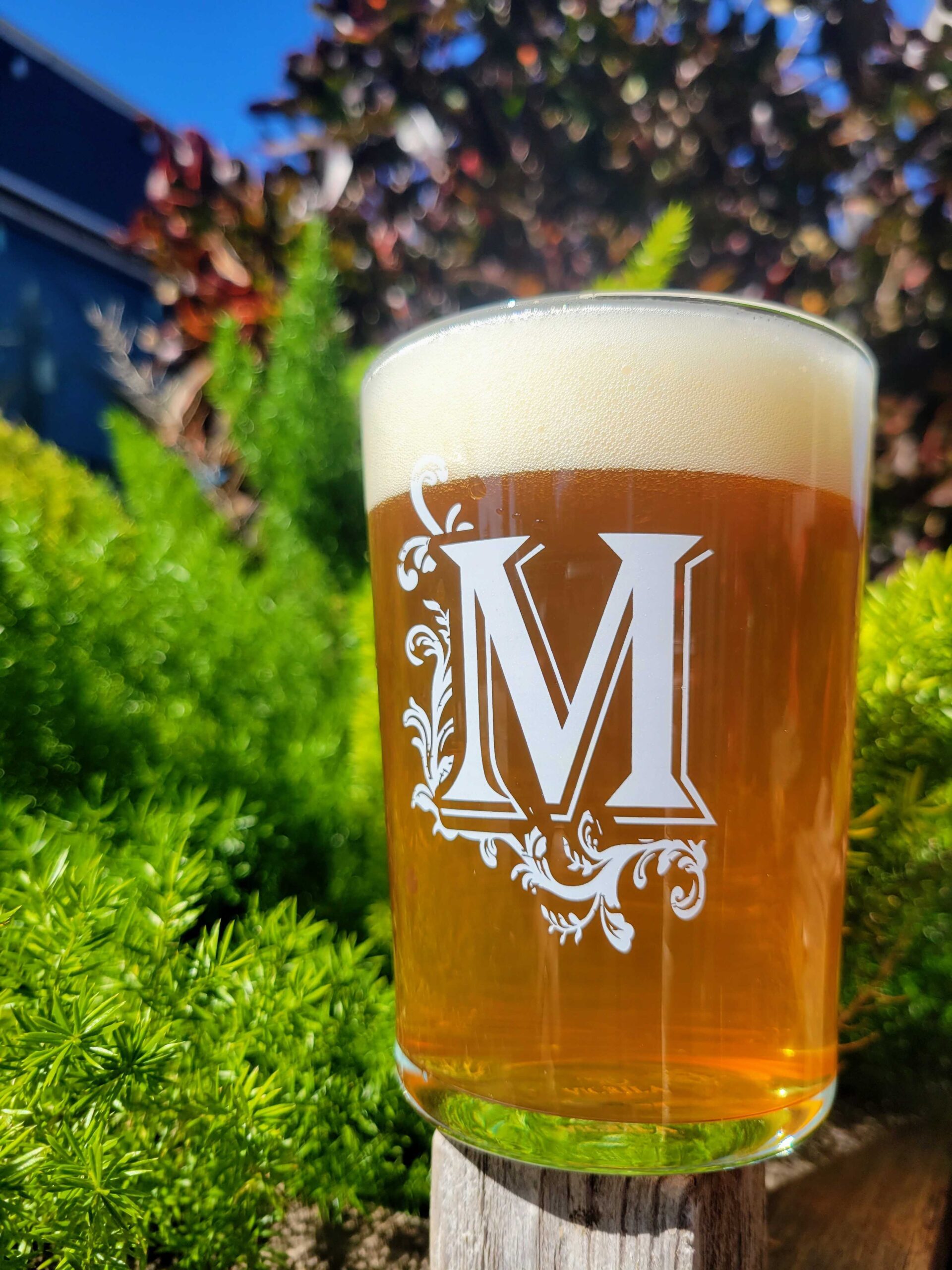 Mastry's M Bodega 17.03oz Glass