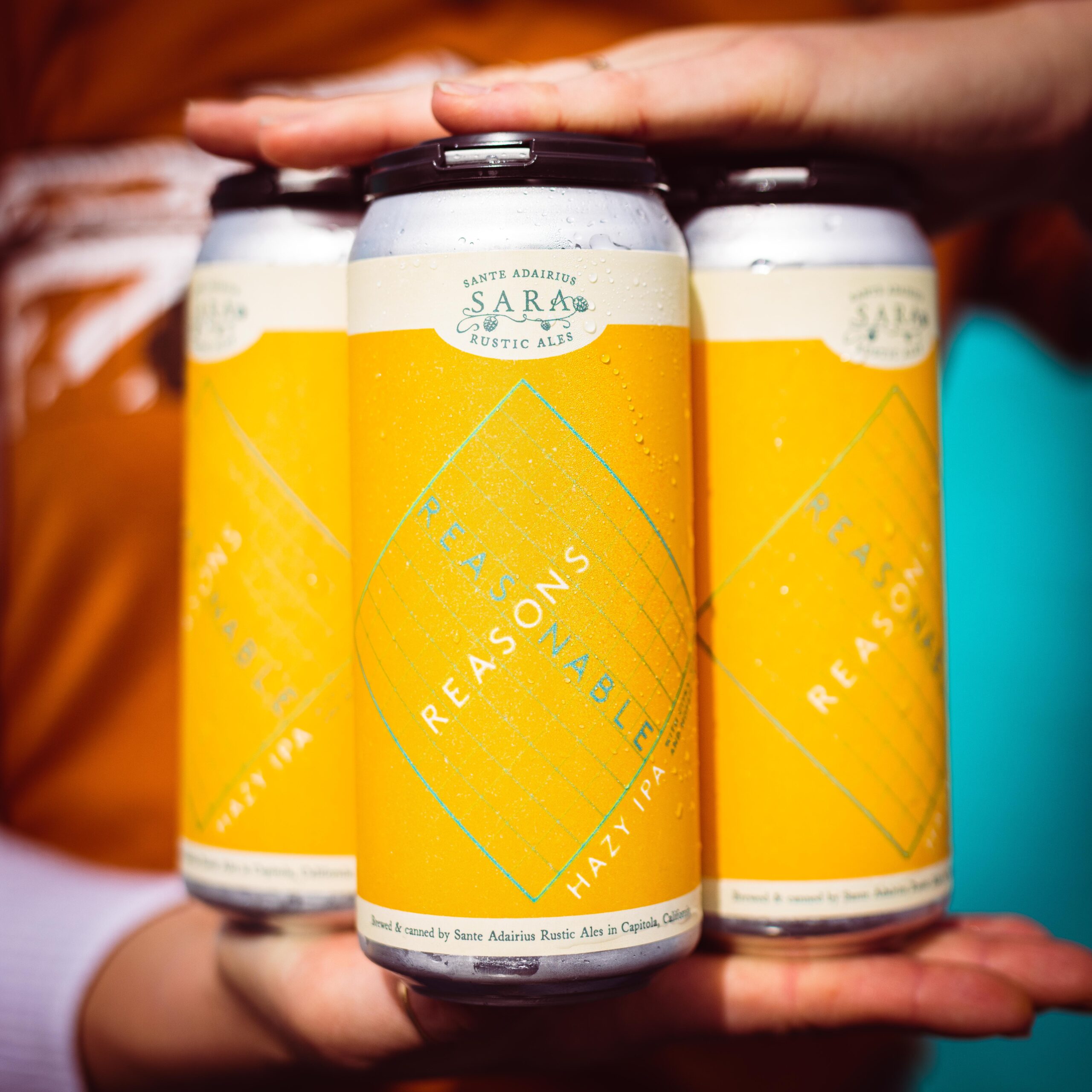 Reasonable Reasons 4-Pack Online