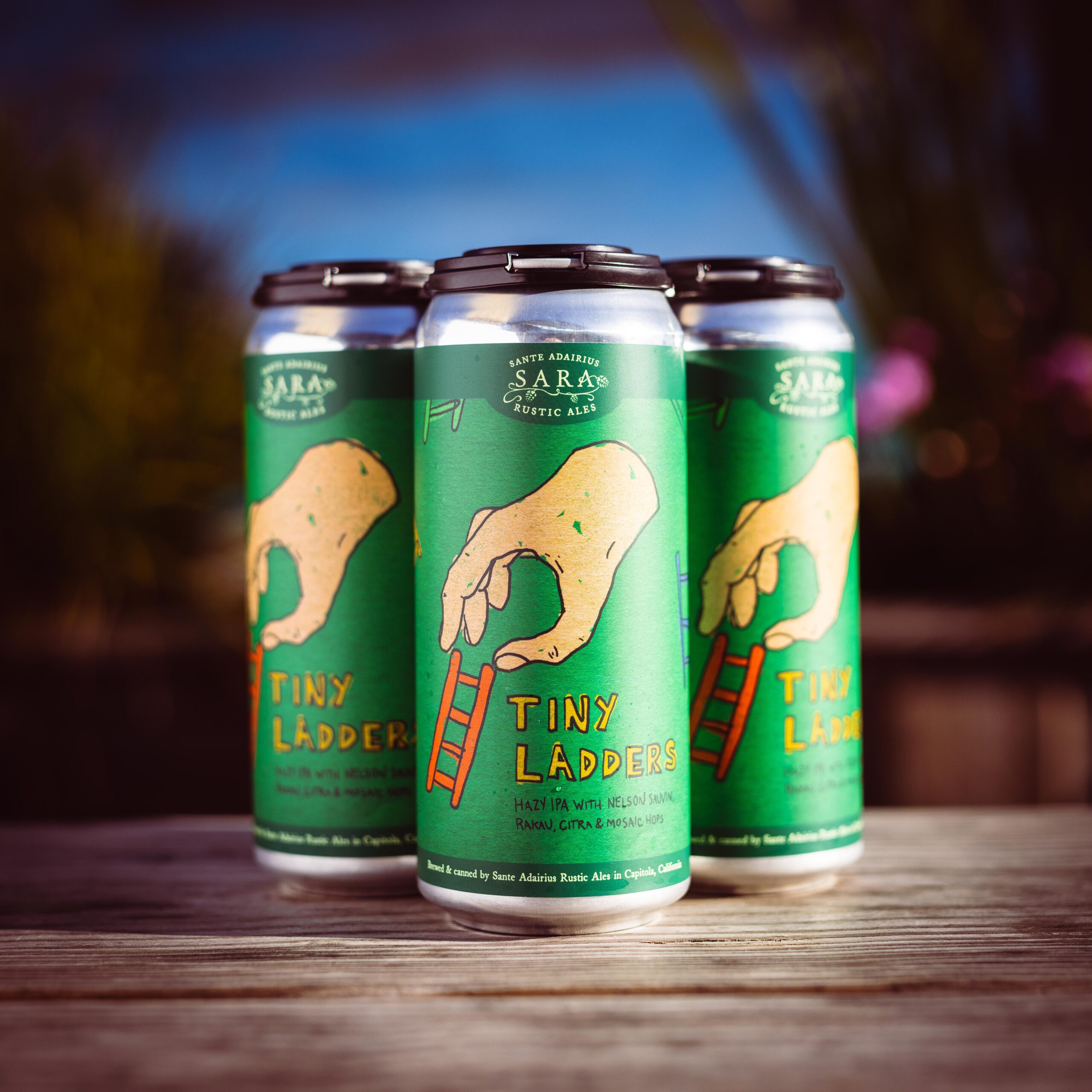 Tiny Ladders 4-Pack Online