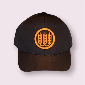 Navy Ball Cap