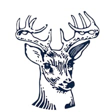 Deer 