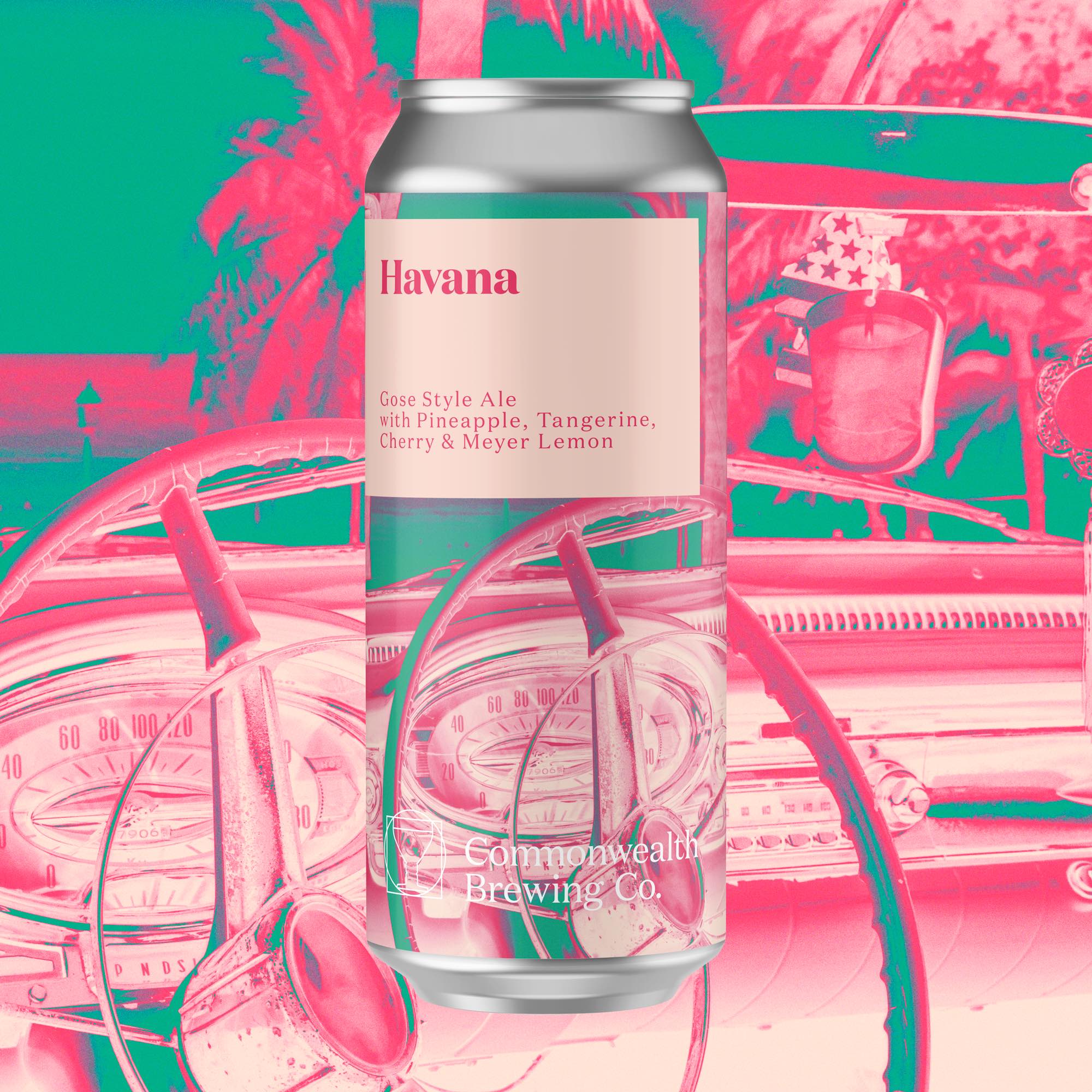 Havana (Fruited Gose) - 4-Pack