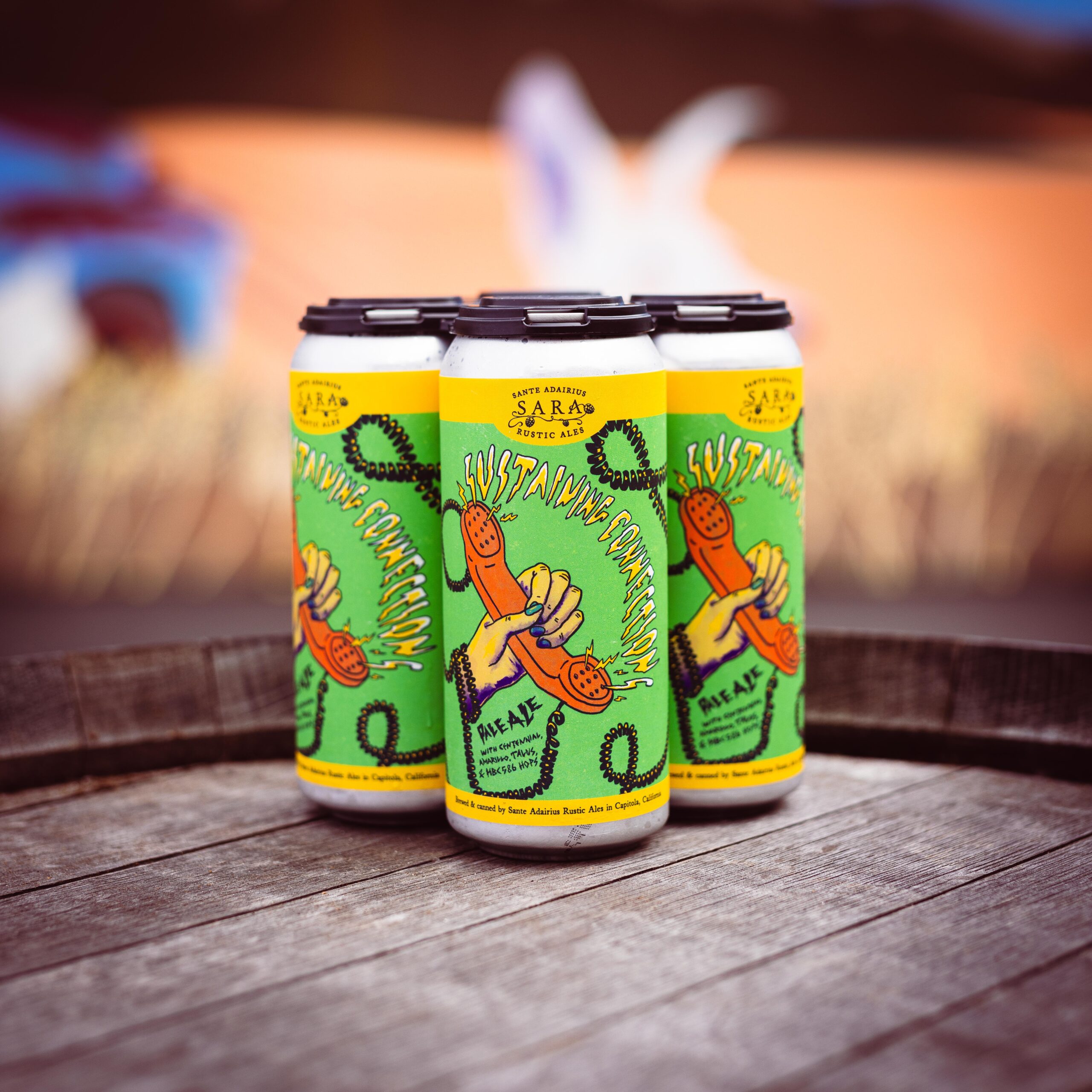 Sustaining Connections 4-Pack Online