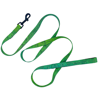 Dog leashÂ