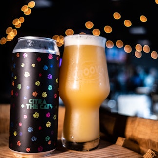 Citra & The Cats Single Can