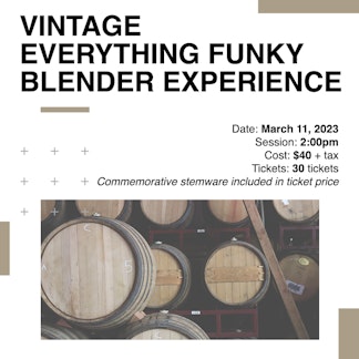 Experience Casey Funky Blender