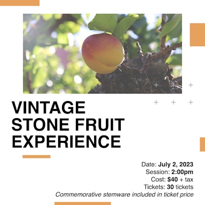 Casey Experience Stone Fruit