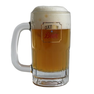 Northern Lager Mug