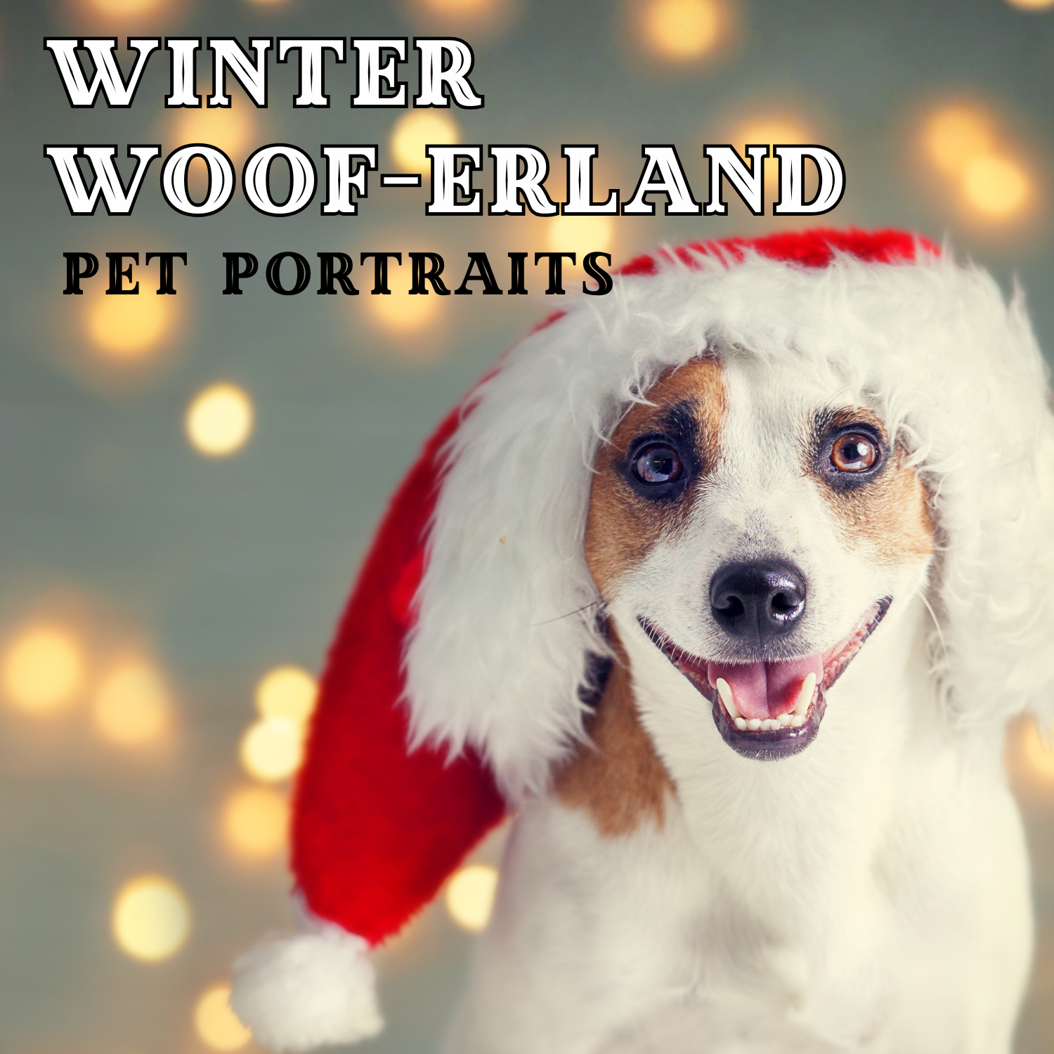 Winter Woof-erland Pet Photos!