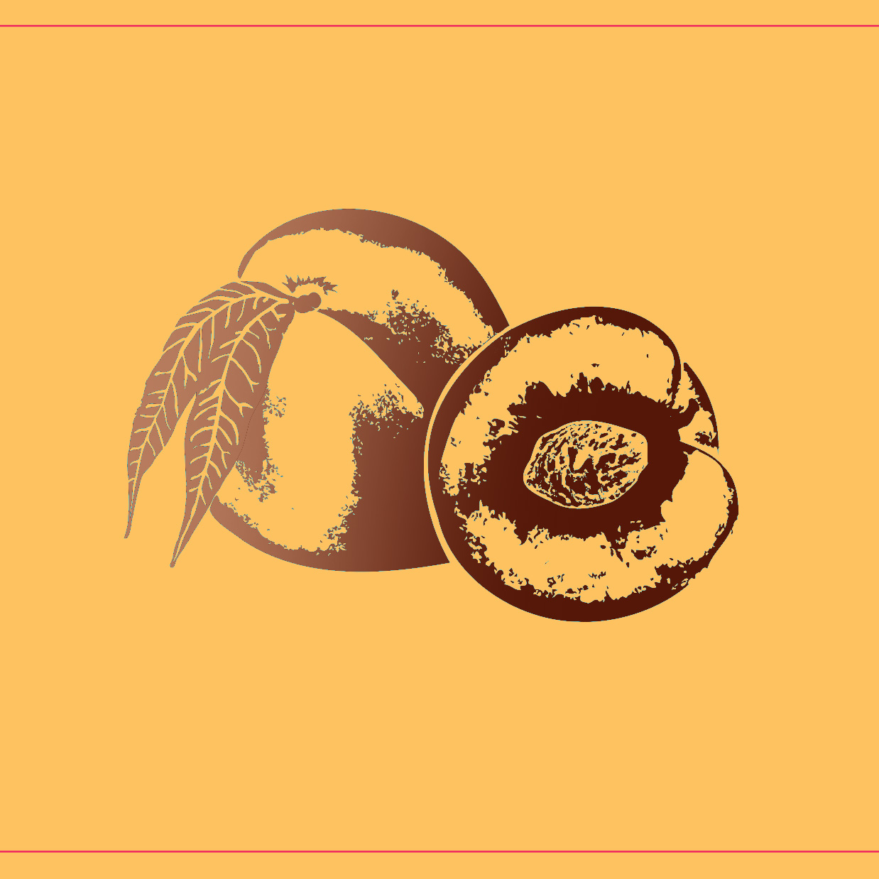 Radiant Earth 500ml Bottle