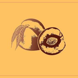 Radiant Earth 500ml Bottle