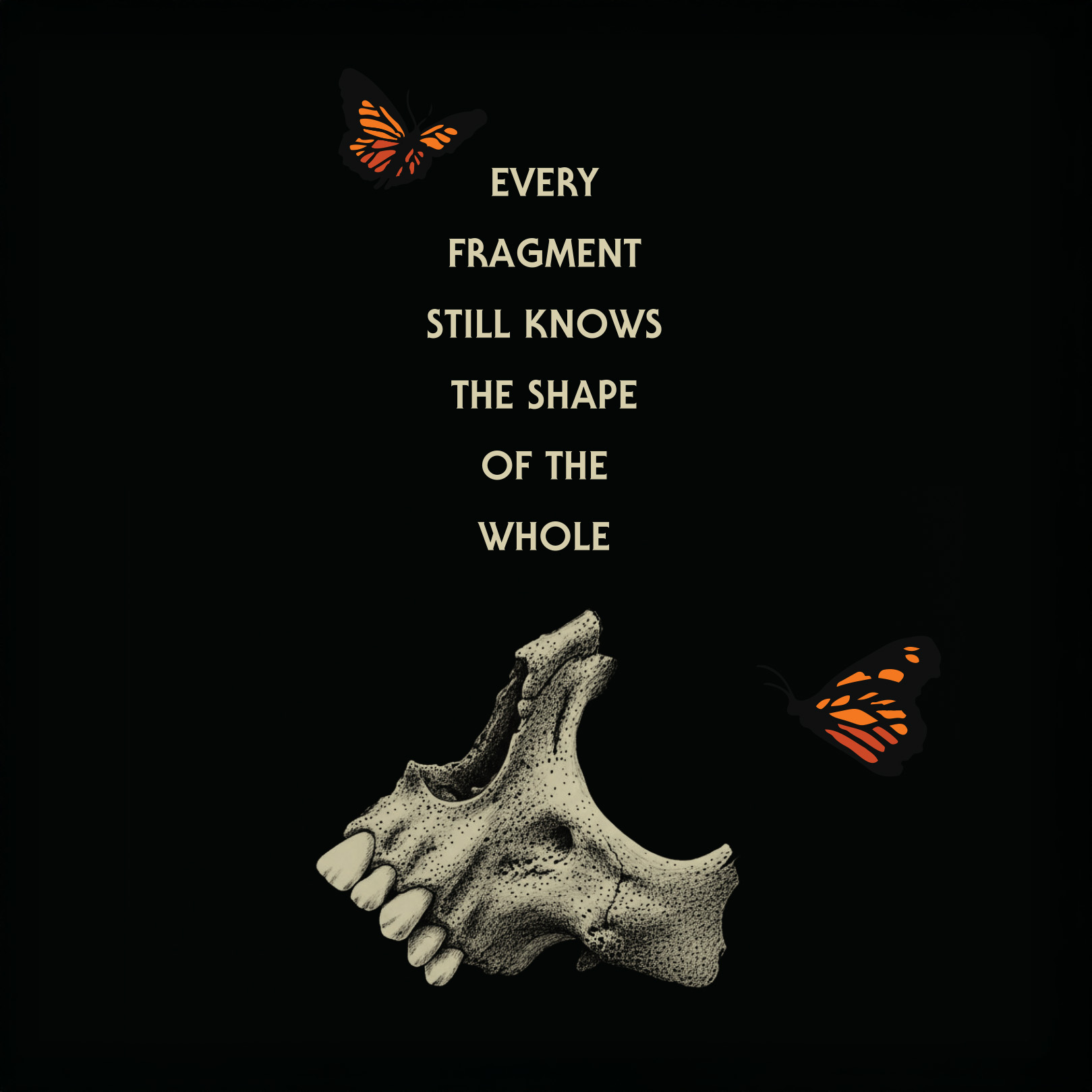 Every Fragment Still Knows The Shape Of The Whole 4-Pack 16oz Cans