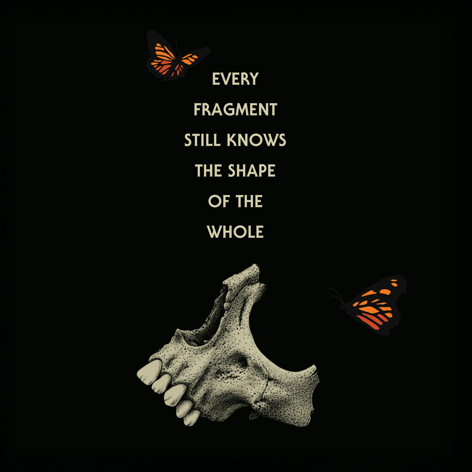 Every Fragment Still Knows The Shape Of The Whole 4-Pack 16oz Cans