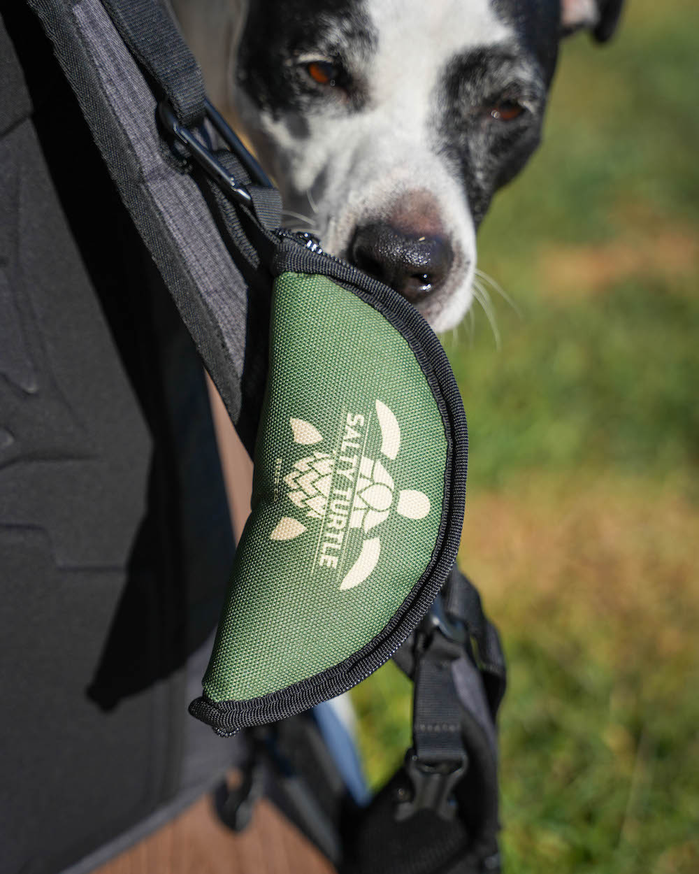 Collapsible Dog Bowl