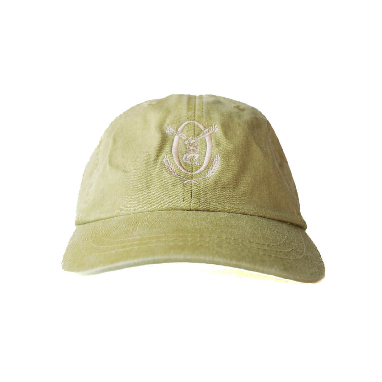 Chamois Garment-Washed Cotton Twill Hat