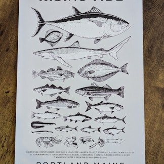Maine Fish Poster