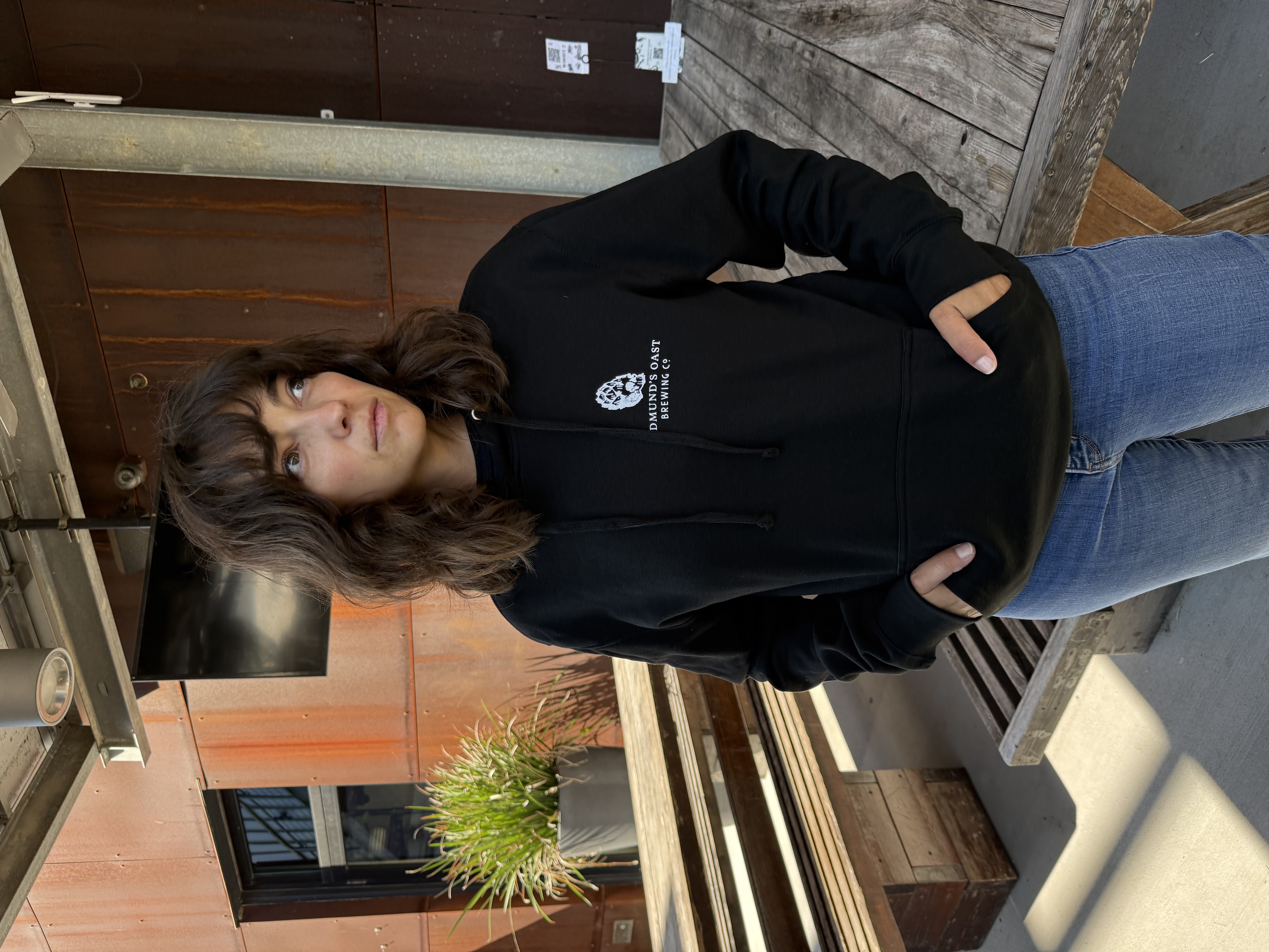 Hop Dragon Pullover Hoodie