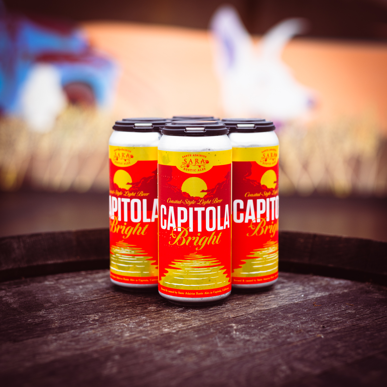 Capitola Bright 4-Pack Online