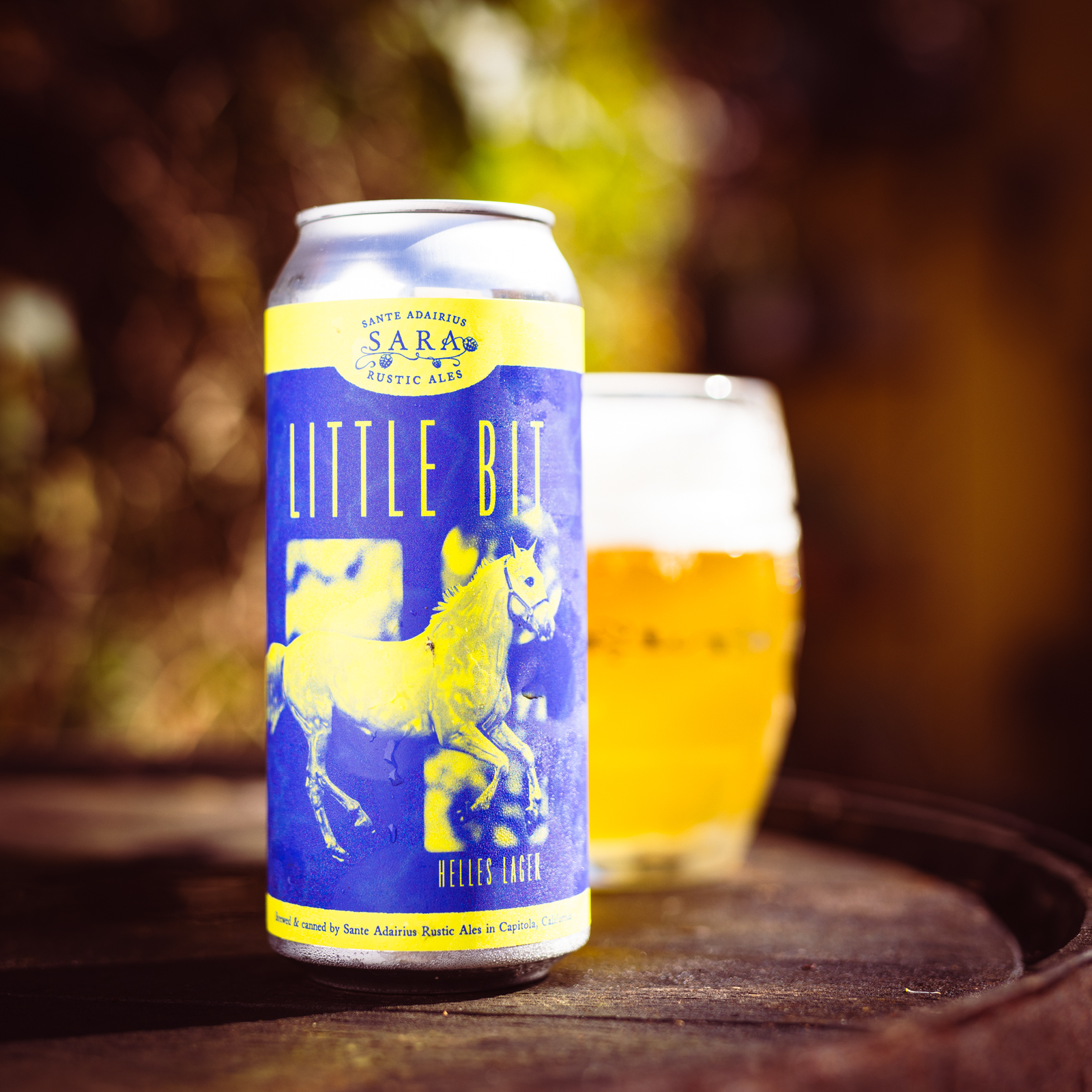 Little Bit 4-Pack Online