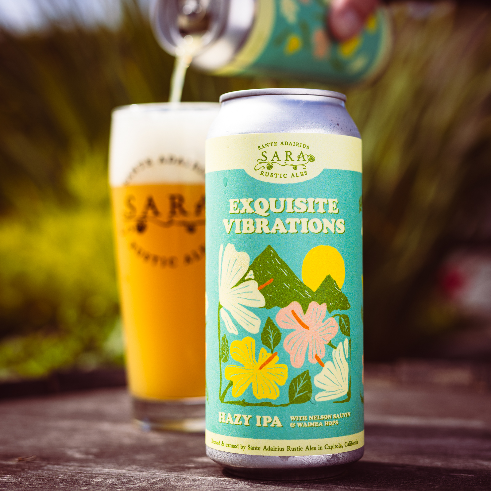 Exquisite Vibrations 4-Pack Online