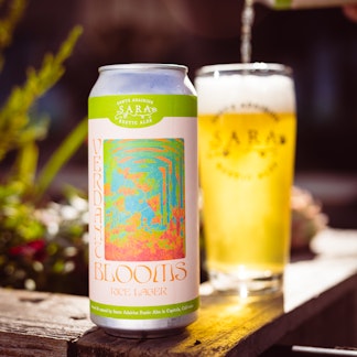 Verdant Blooms 4-Pack Online