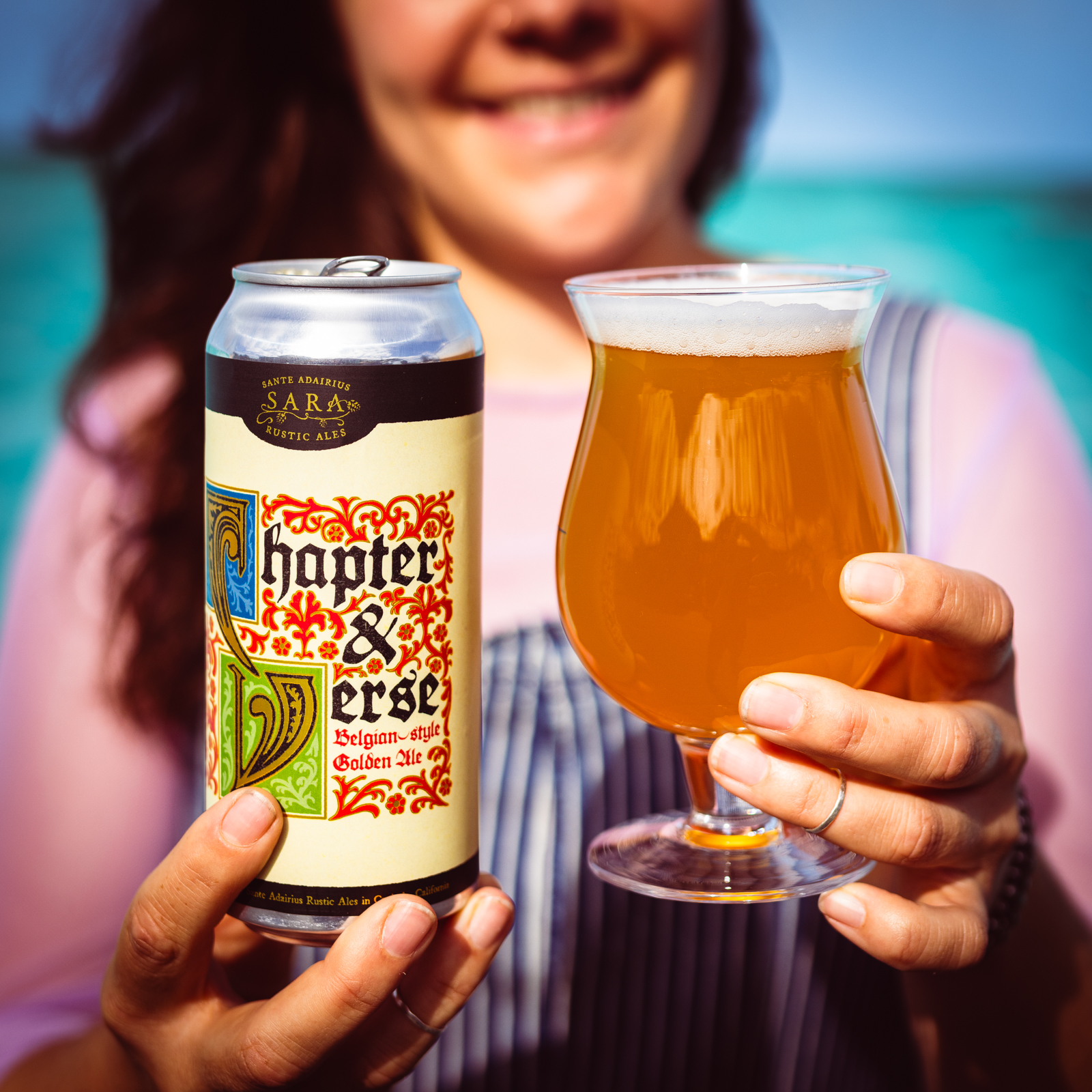 Chapter and Verse 4-Pack Online